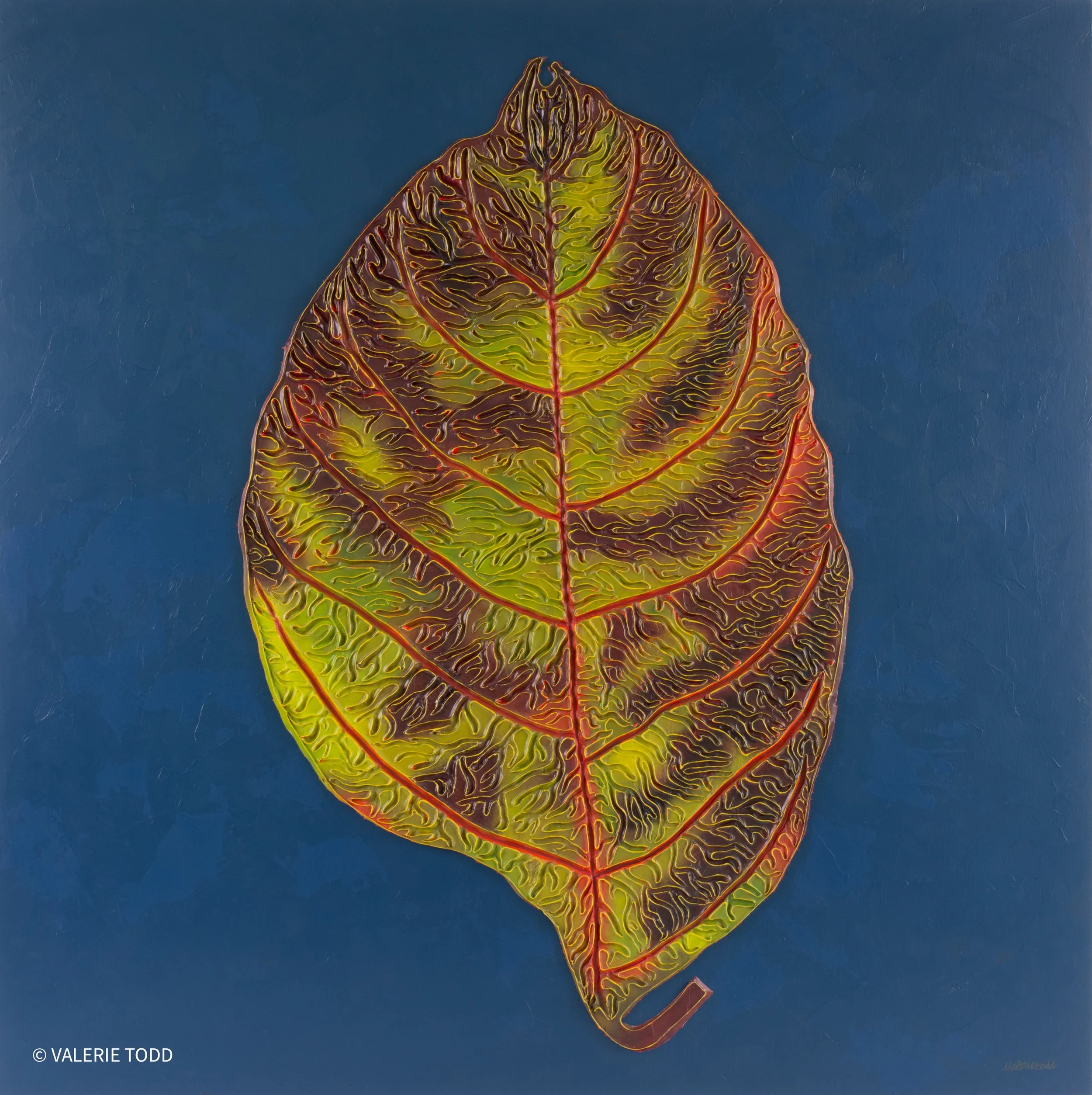 Crazy Spotted Leaf