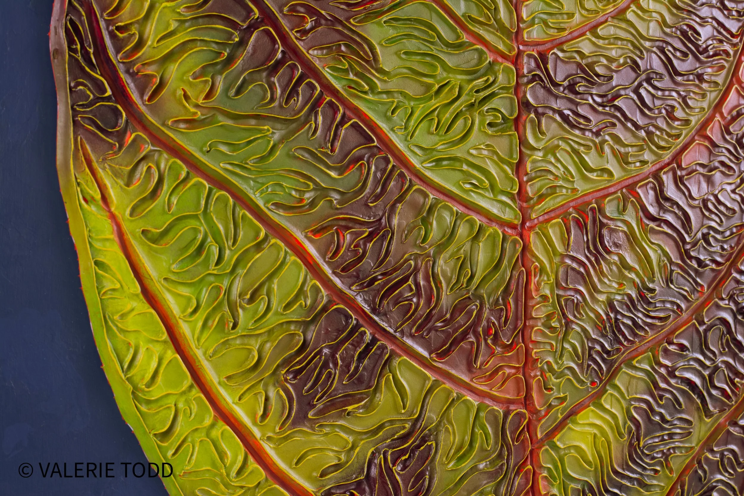 Close-up of a colorful, textured leaf showing intricate veins in shades of green, purple, and reddish-orange.