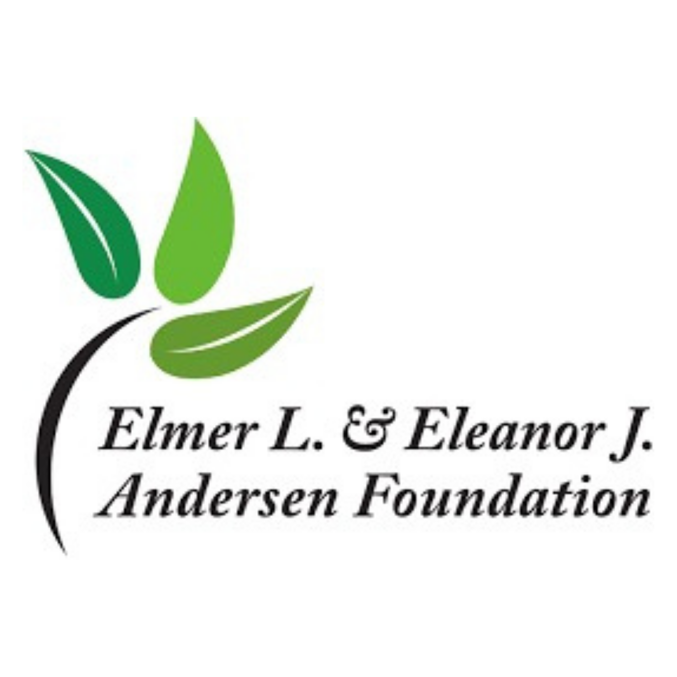 Logo of the Elmer L. & Eleanor J. Andersen Foundation featuring a stylized green and black leaf design with the foundation's name in black text.