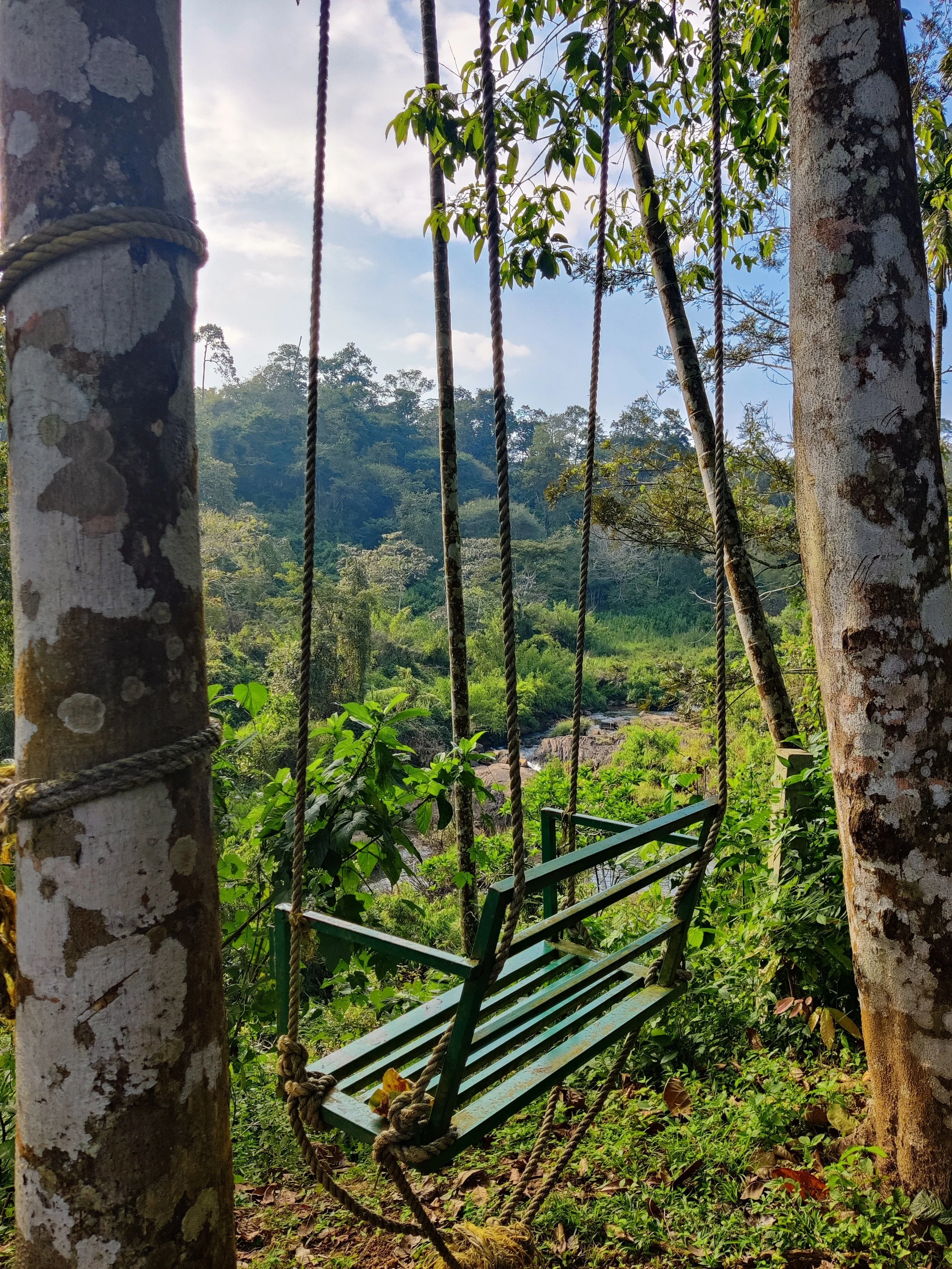 A green wooden swing hanging between two trees in a lush forest with green foliage and a partly cloudy sky in the background.