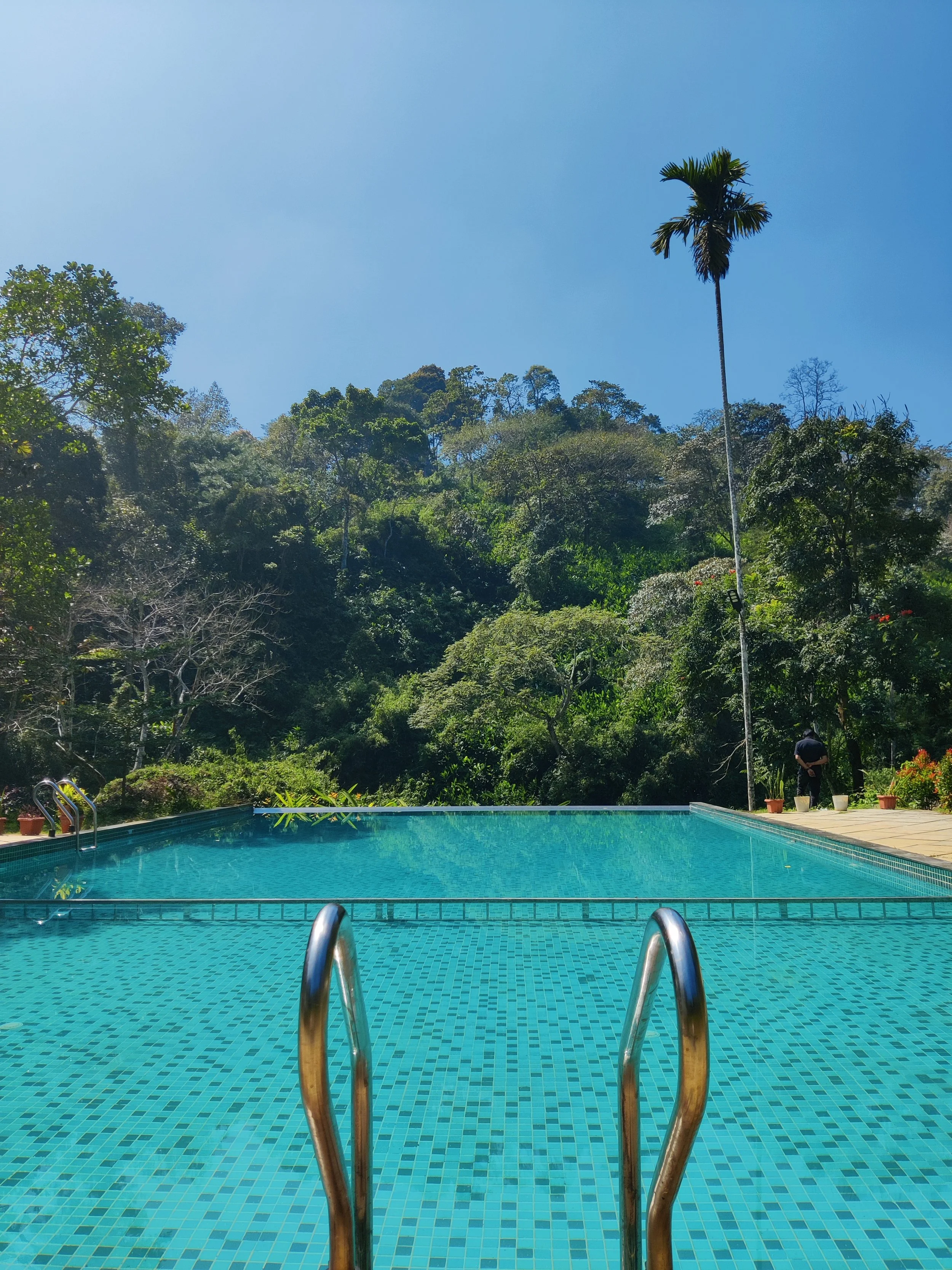 An outdoor swimming pool with metal handrails, surrounded by a lush green forest and clear blue sky.