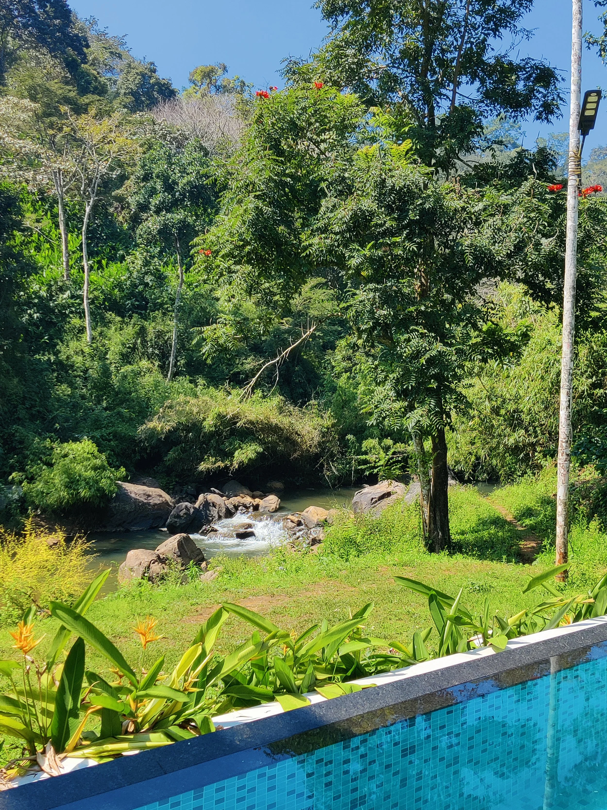Landscape view of a lush green park with a small flowing stream, surrounded by trees and plants, and a pool with blue tiles in the foreground.
