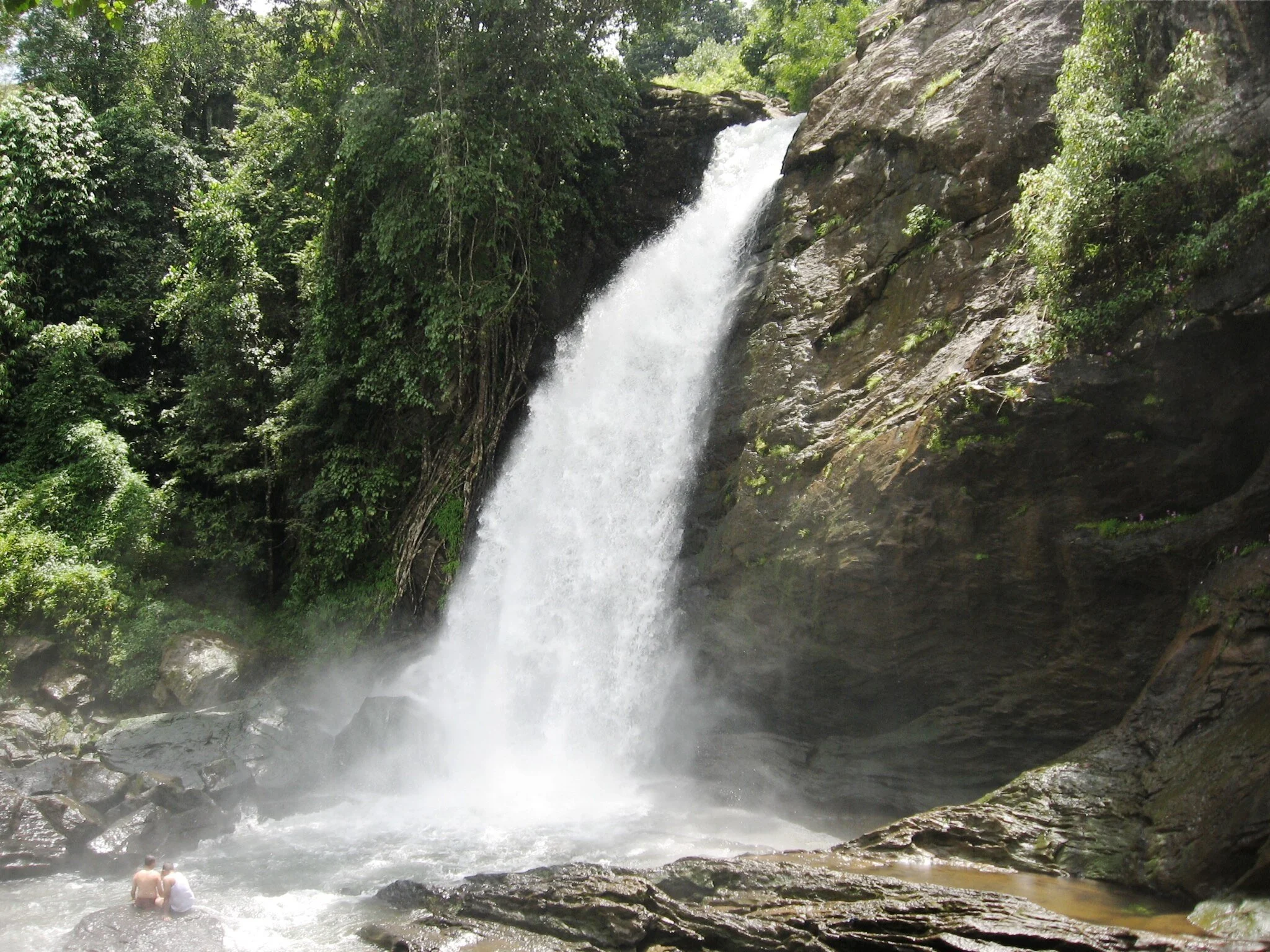 A waterfall cascading down a rocky cliff surrounded by lush green trees and vegetation.
