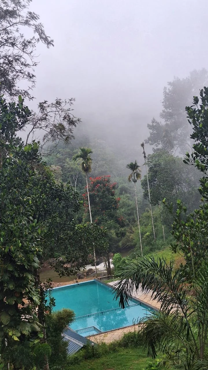 A swimming pool surrounded by lush green trees and plants, with mist or fog in the background.