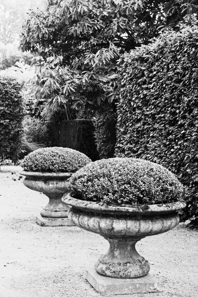 Paisagismo & Jardins