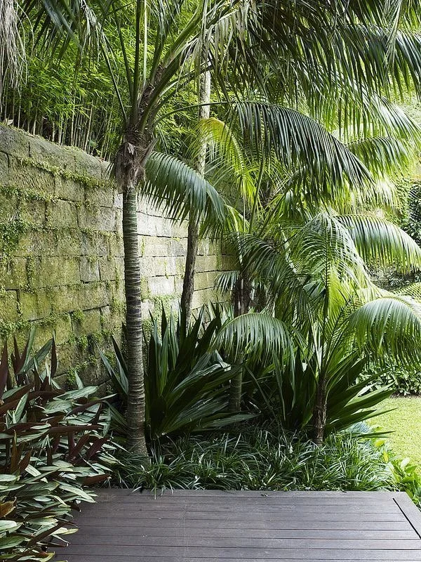 Um jardim tropical de sombra ao lado do deck privativo.