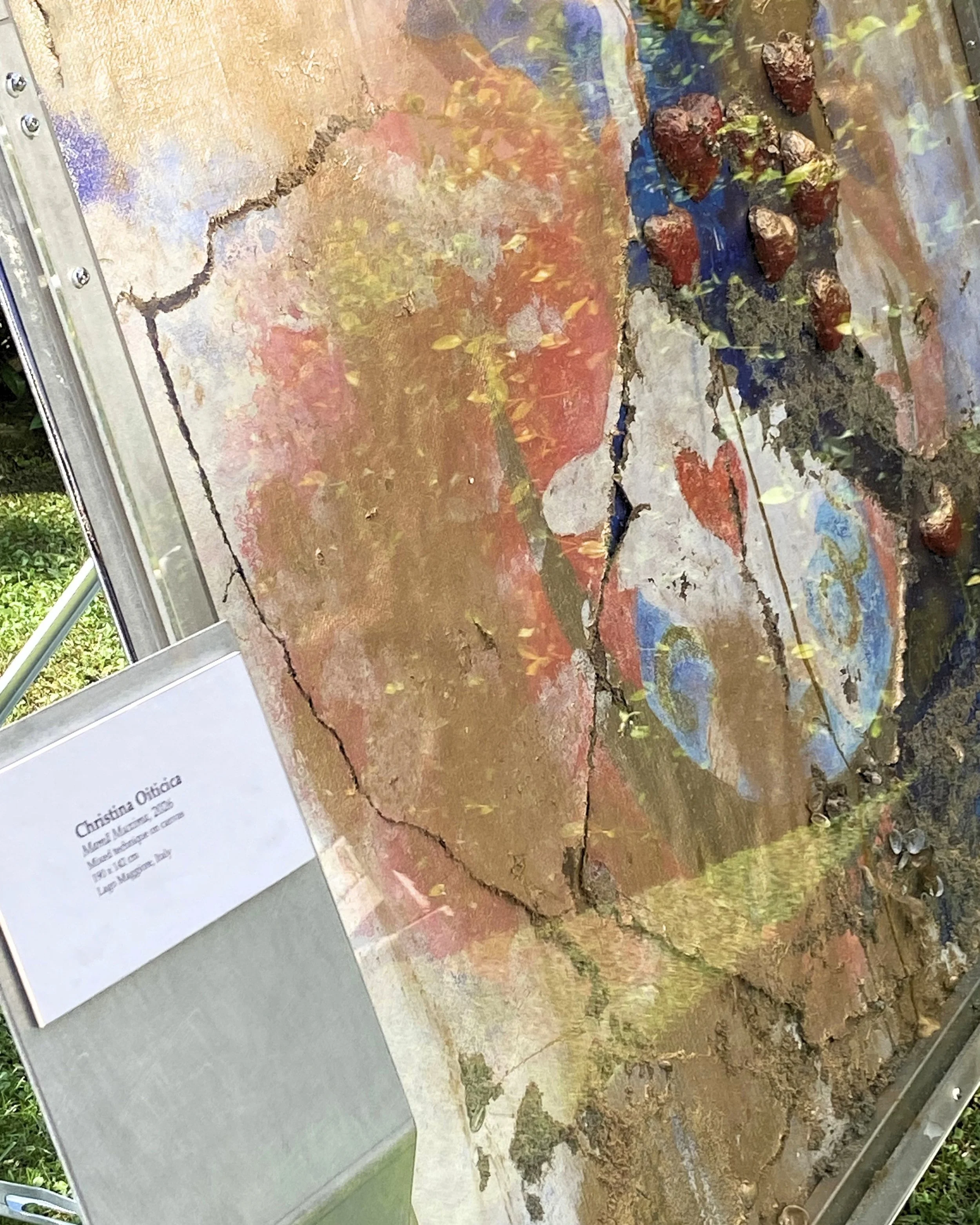 Detalhe da textura e dos corações de Mama Muxima, após a imersão de três meses no Lago Maggiore.
