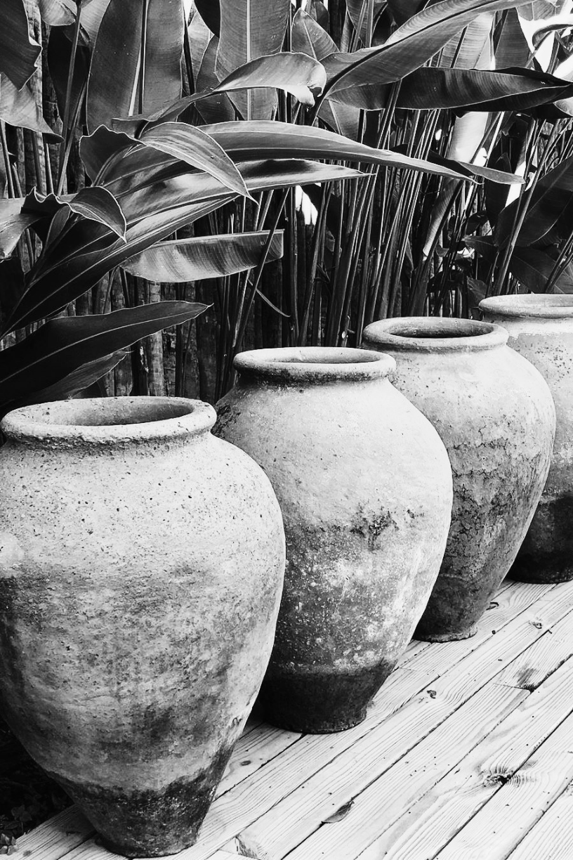 Jardim & Varanda