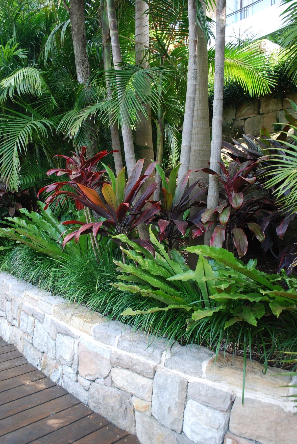 Um canteiro tropical elegante em área de circulação.
