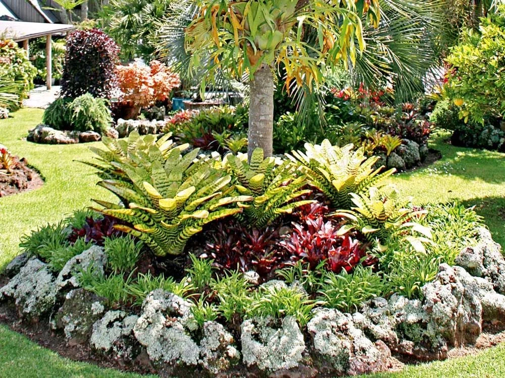 Um jardim tropical com canteiros circulares elevados.
