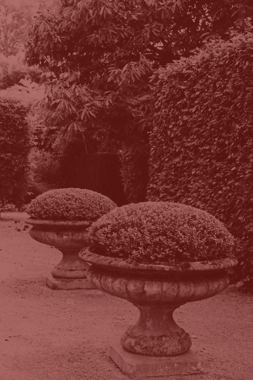 Paisagismo & Jardins