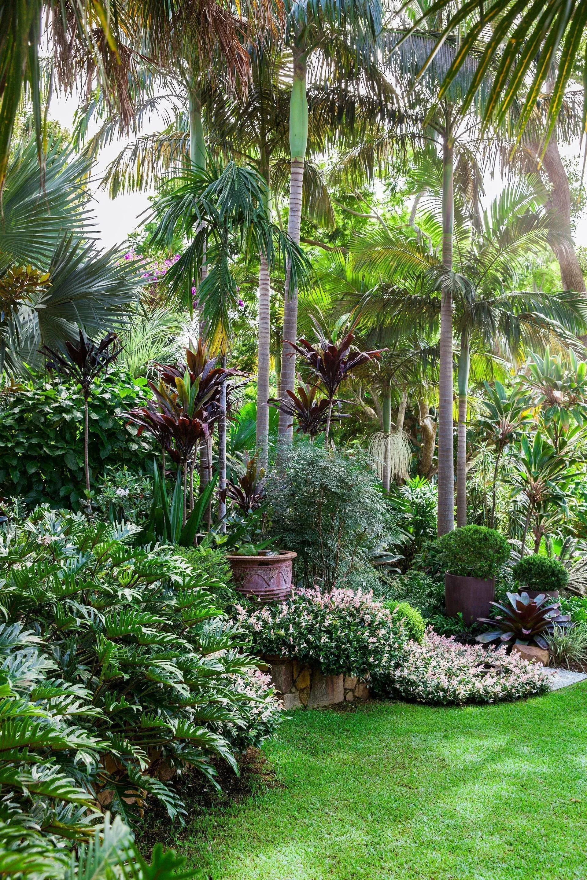 Um jardim tropical paradisíaco distribuído em diversas camadas, projetado por Claudia Nevell.