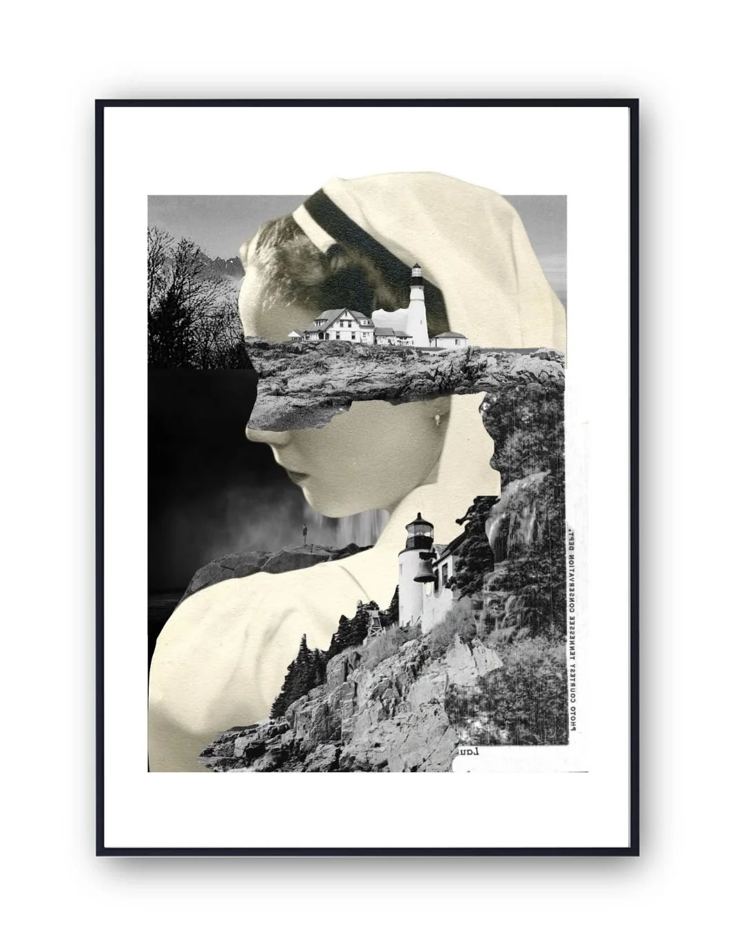 s-chew-collage-final-print.jpg