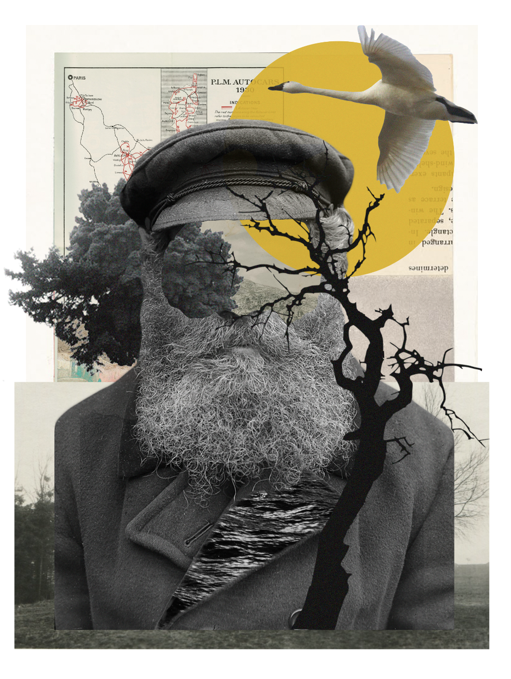 A collage featuring a black and white photo of a man with a long beard and a cap, overlaid with a silhouette of a tree and a landscape. There is a large yellow circle, a flying bird, and various vintage maps and documents in the background.