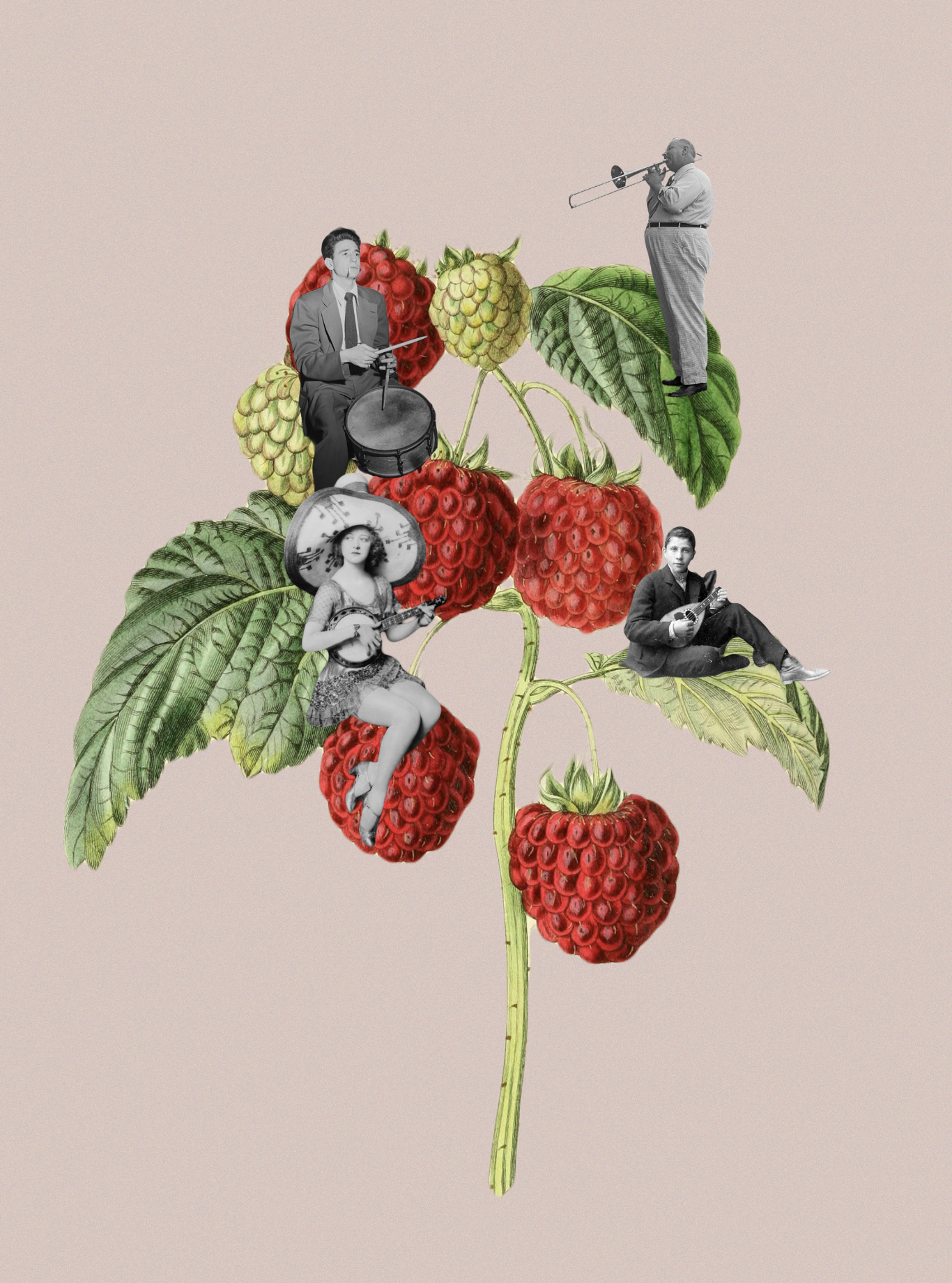 Raspberry Fields Forever - Digital Collage Art by Stefanie Chew