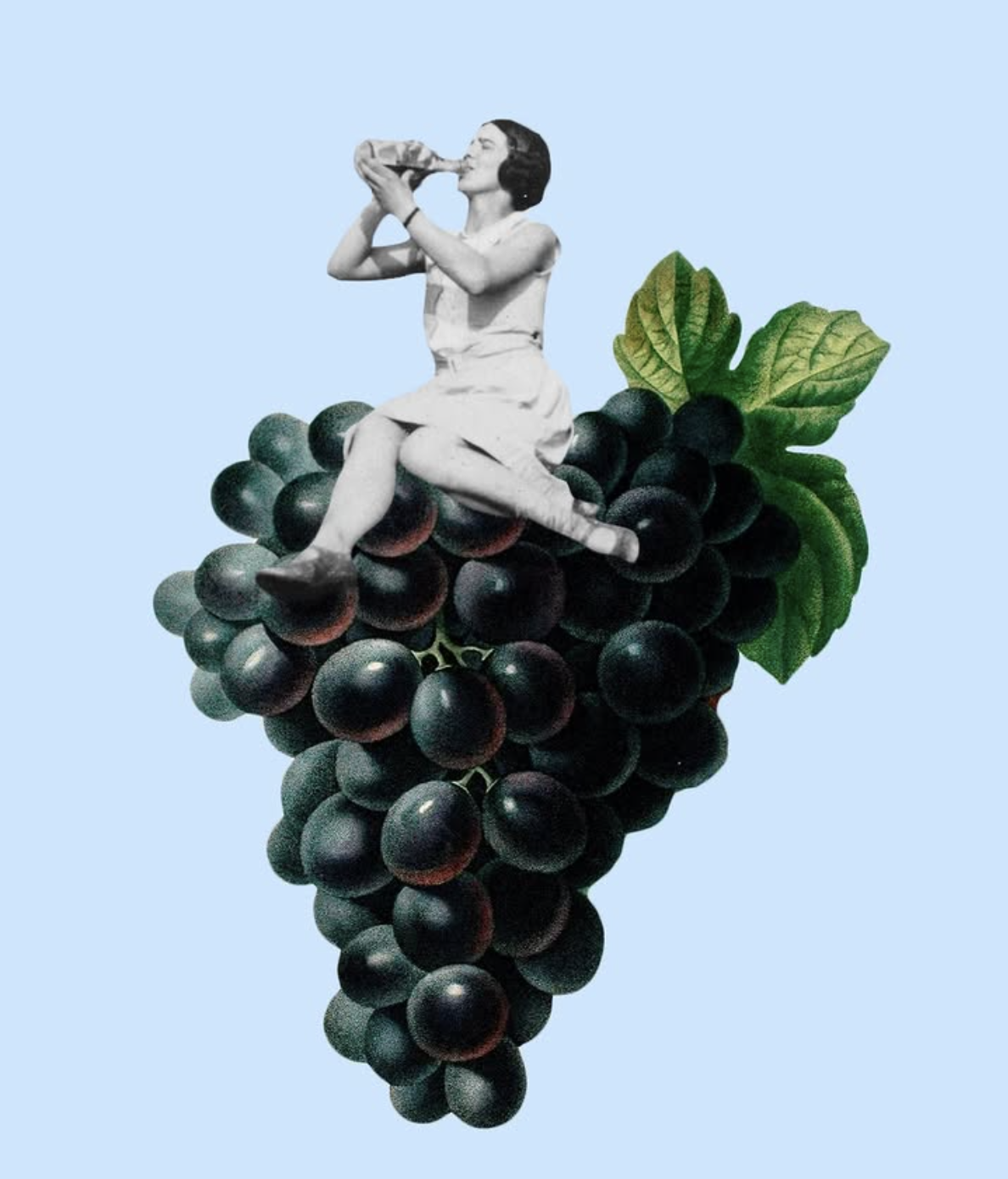 A black-and-white vintage woman figure sitting on a bunch of black grapes, drinking from a bottle, with green leaves and a plain light blue background.