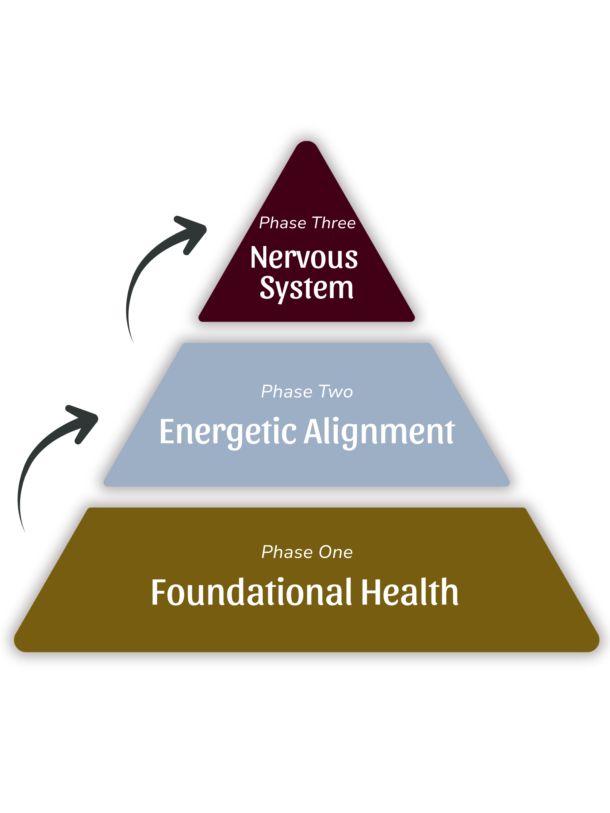 Diagram of a three-phase health model with levels: Phase One Foundation Health, Phase Two Energetic Alignment, and Phase Three Nervous System.