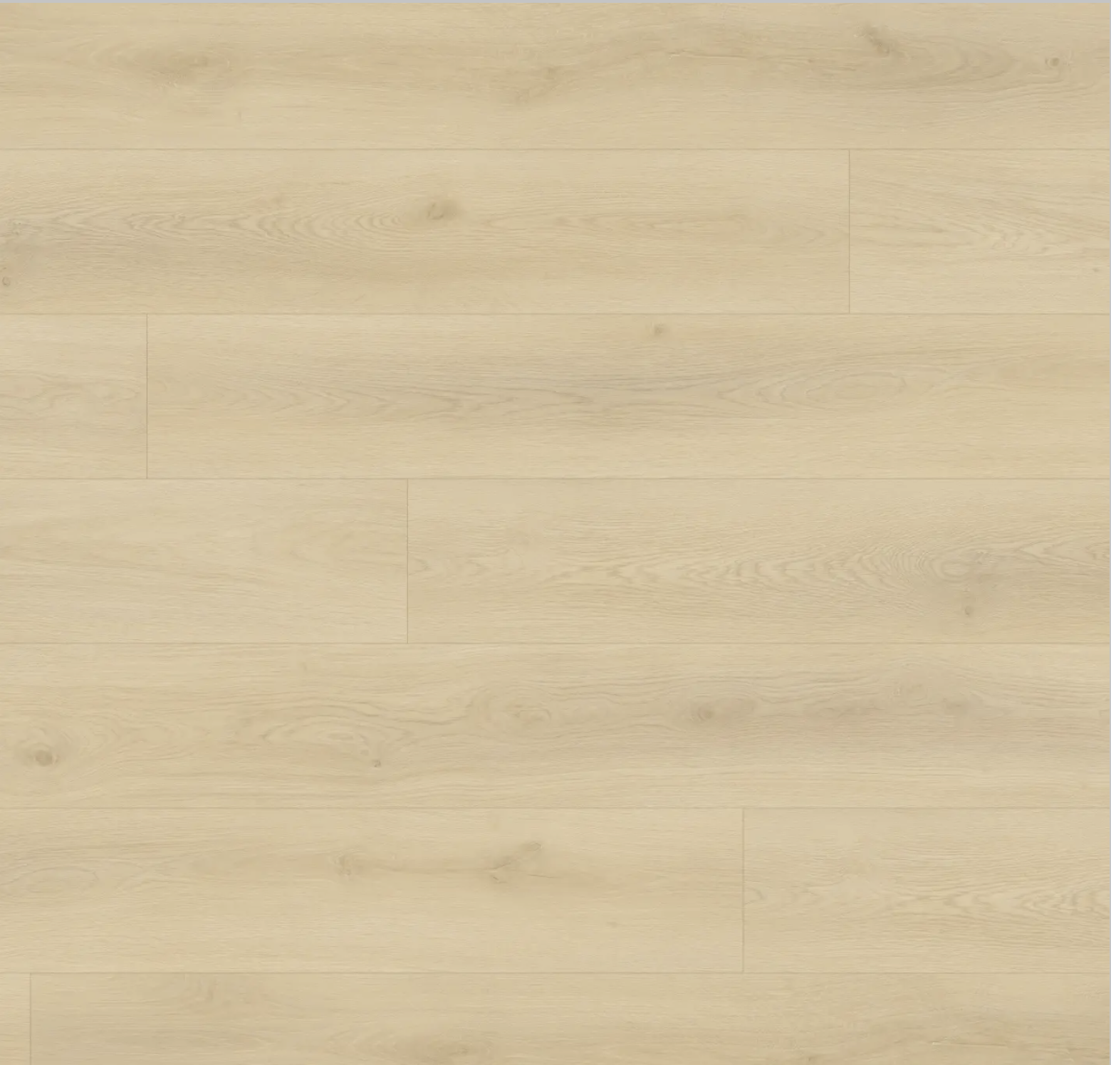 Screenshot 2026-03-01 at 8.26.04 PM.png