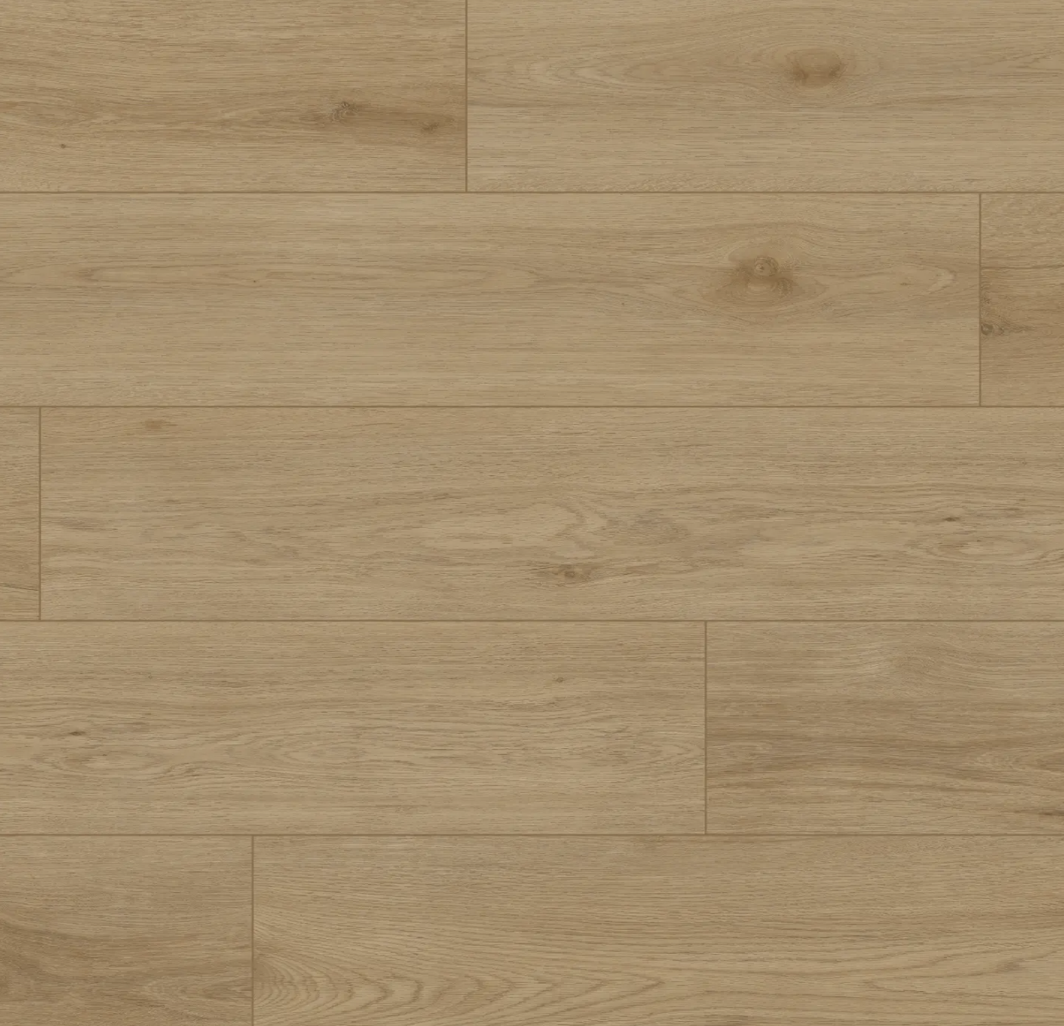 Screenshot 2026-03-01 at 8.31.33 PM.png