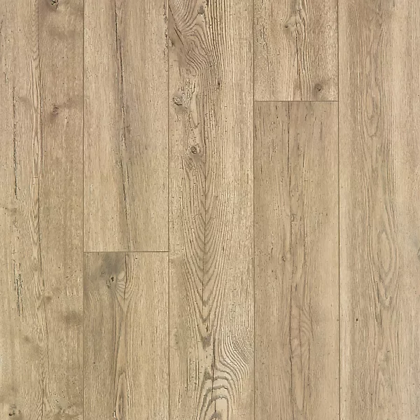 Canvas Oak