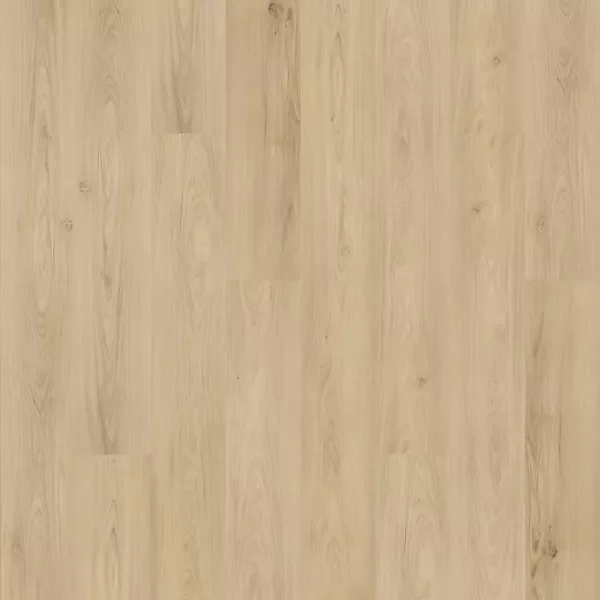Hazel