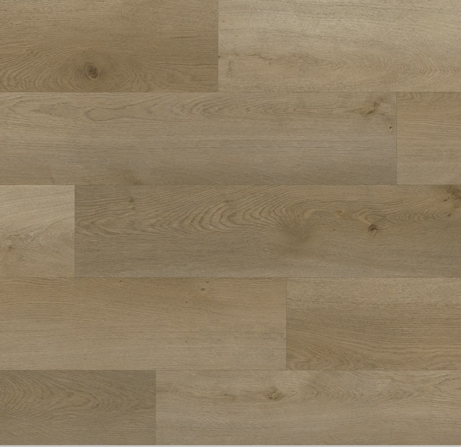 Screenshot 2026-03-01 at 8.34.14 PM.png