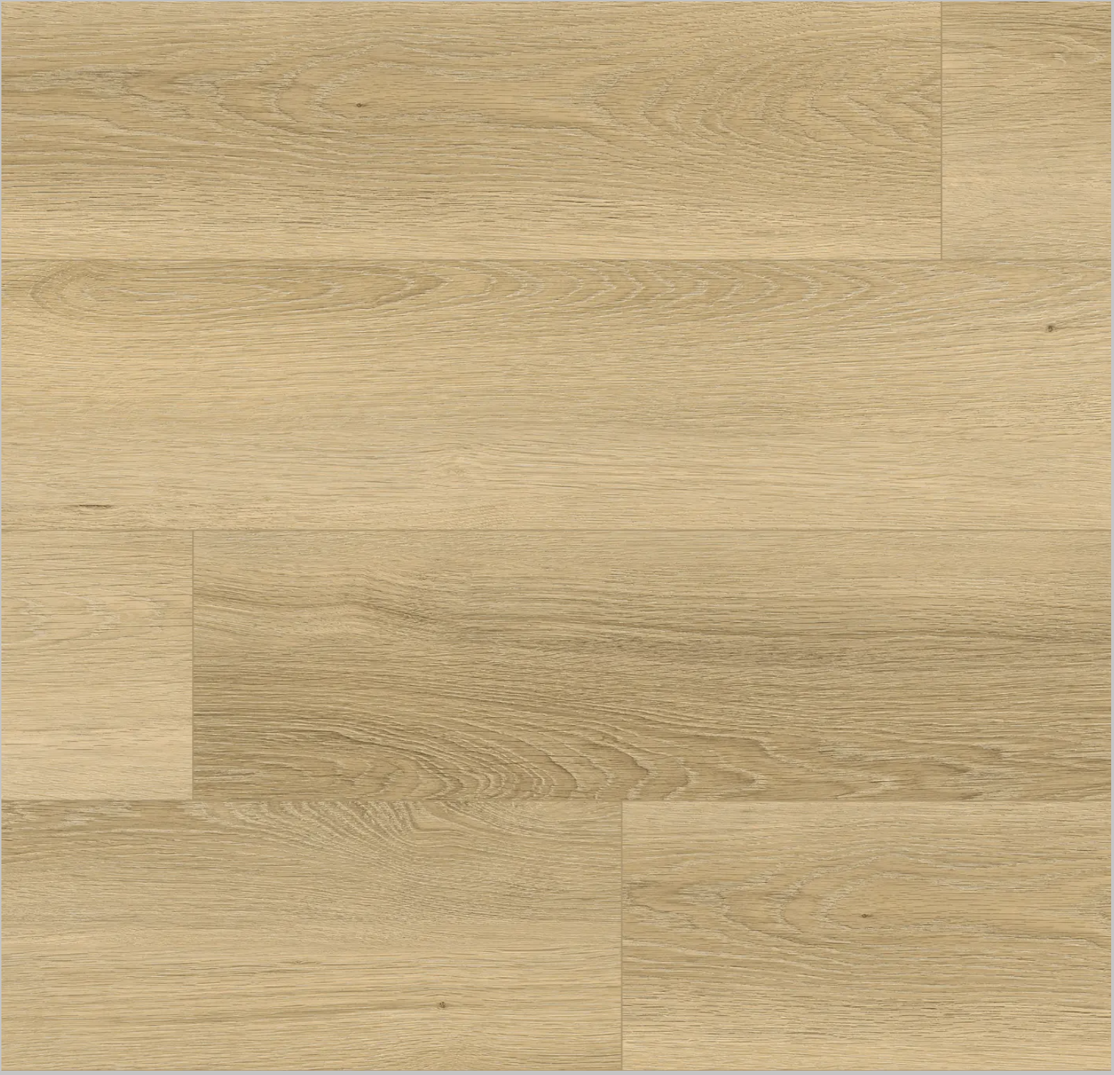 Screenshot 2026-03-01 at 8.15.30 PM.png