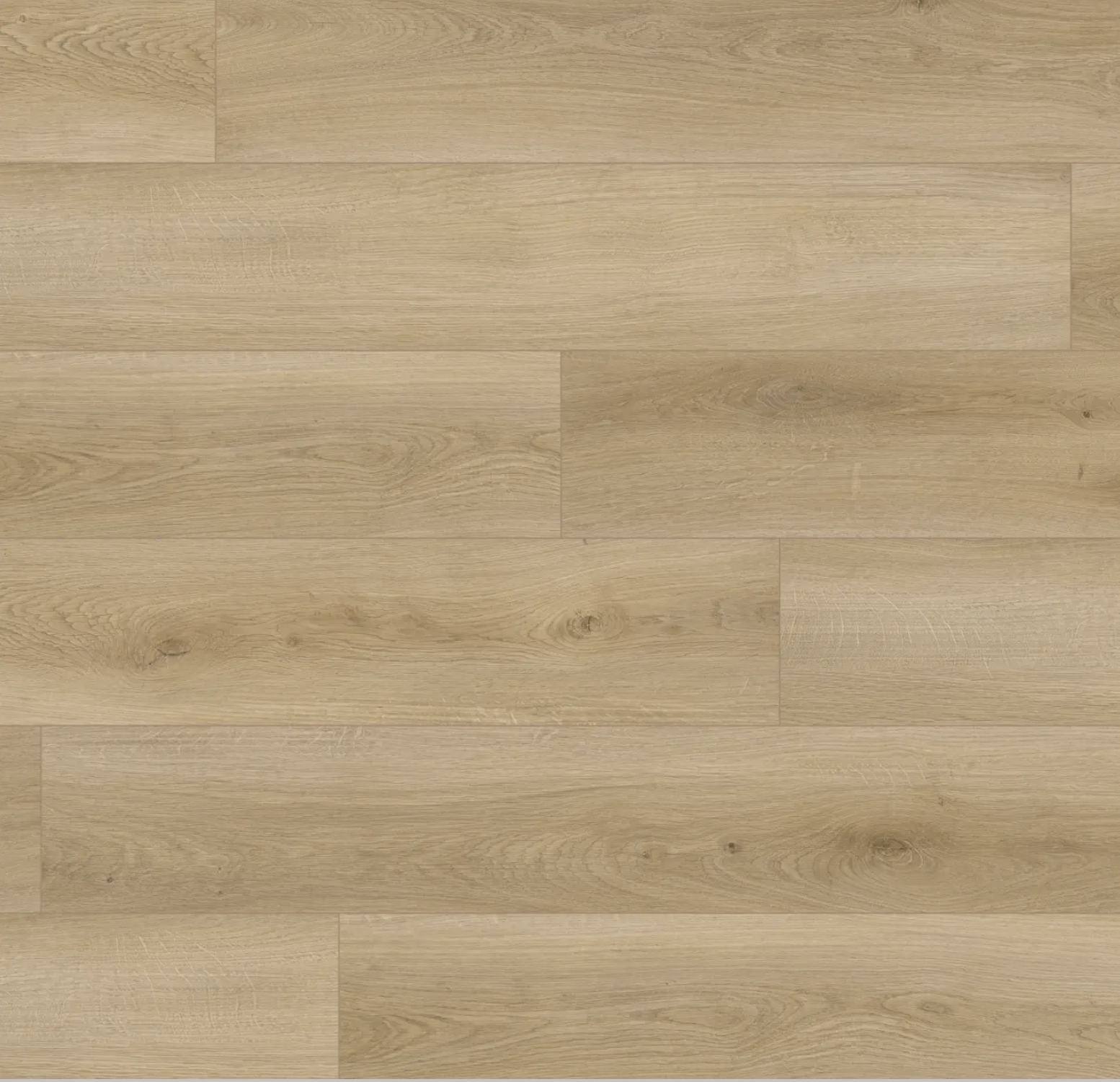 Screenshot 2026-03-01 at 8.19.15 PM.png