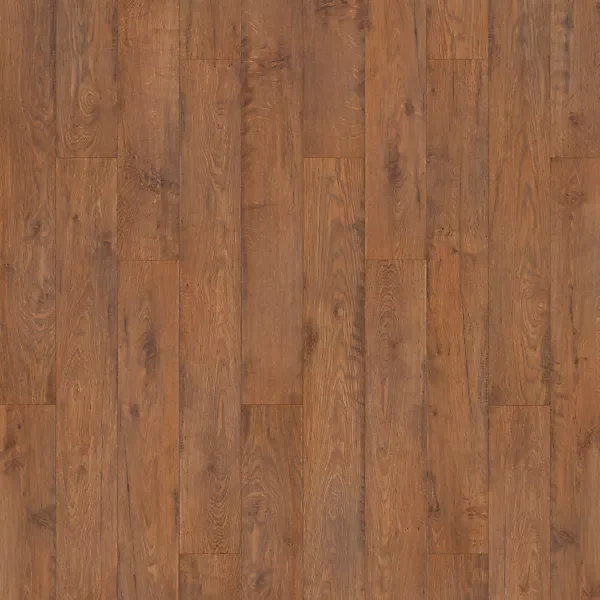 Twilight Oak