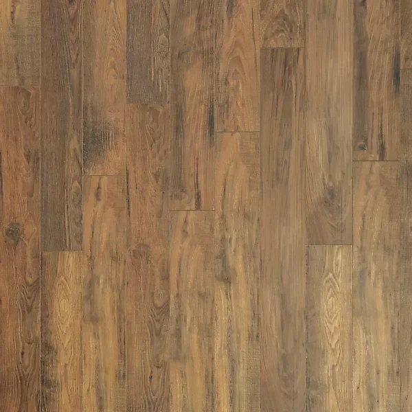 Nutmeg Chestnut