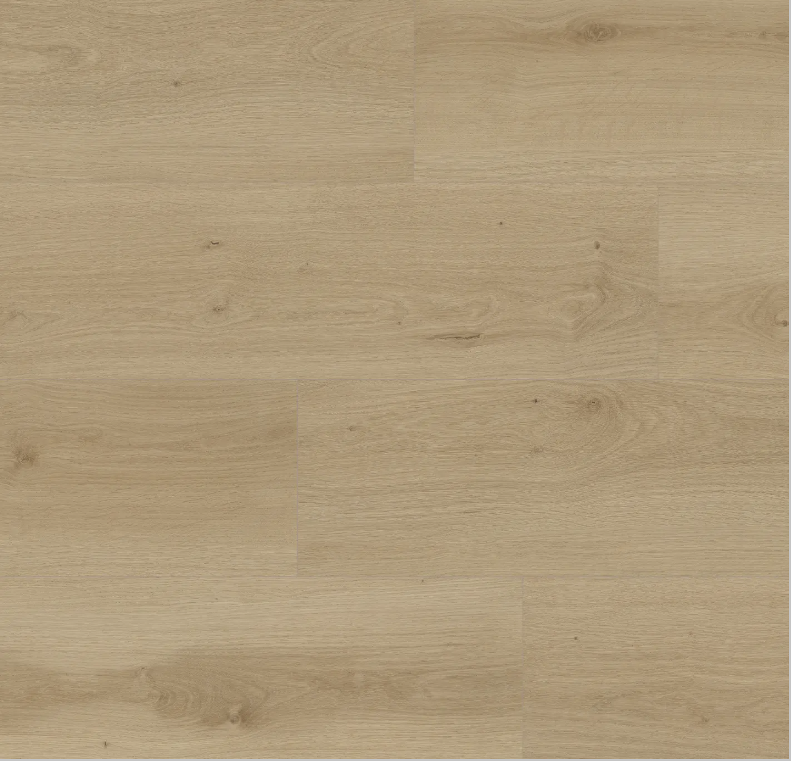 Screenshot 2026-03-01 at 8.11.51 PM.png