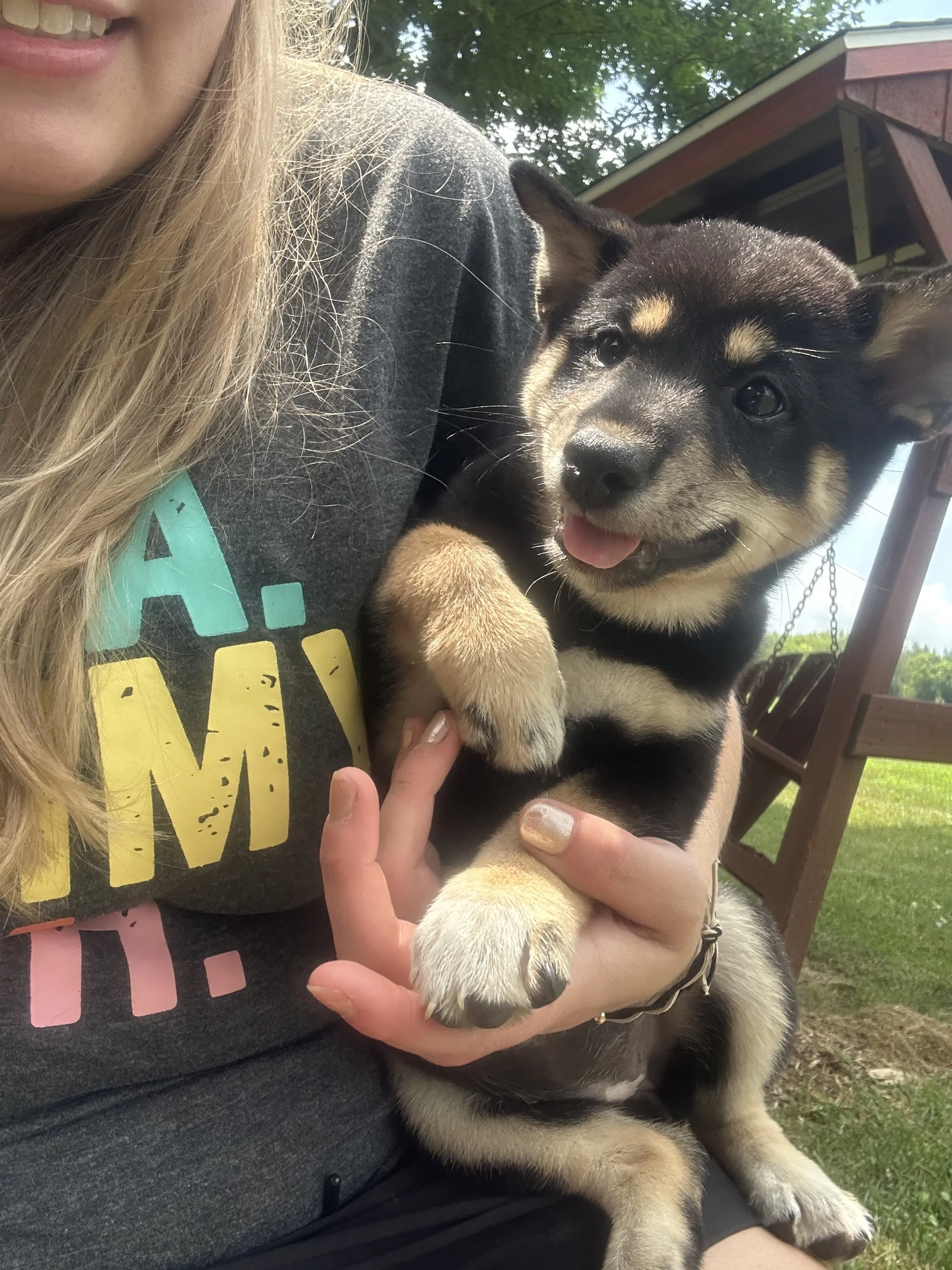 A woman holding a cute puppy outdoors, with a grassy area and a small shed in the background.