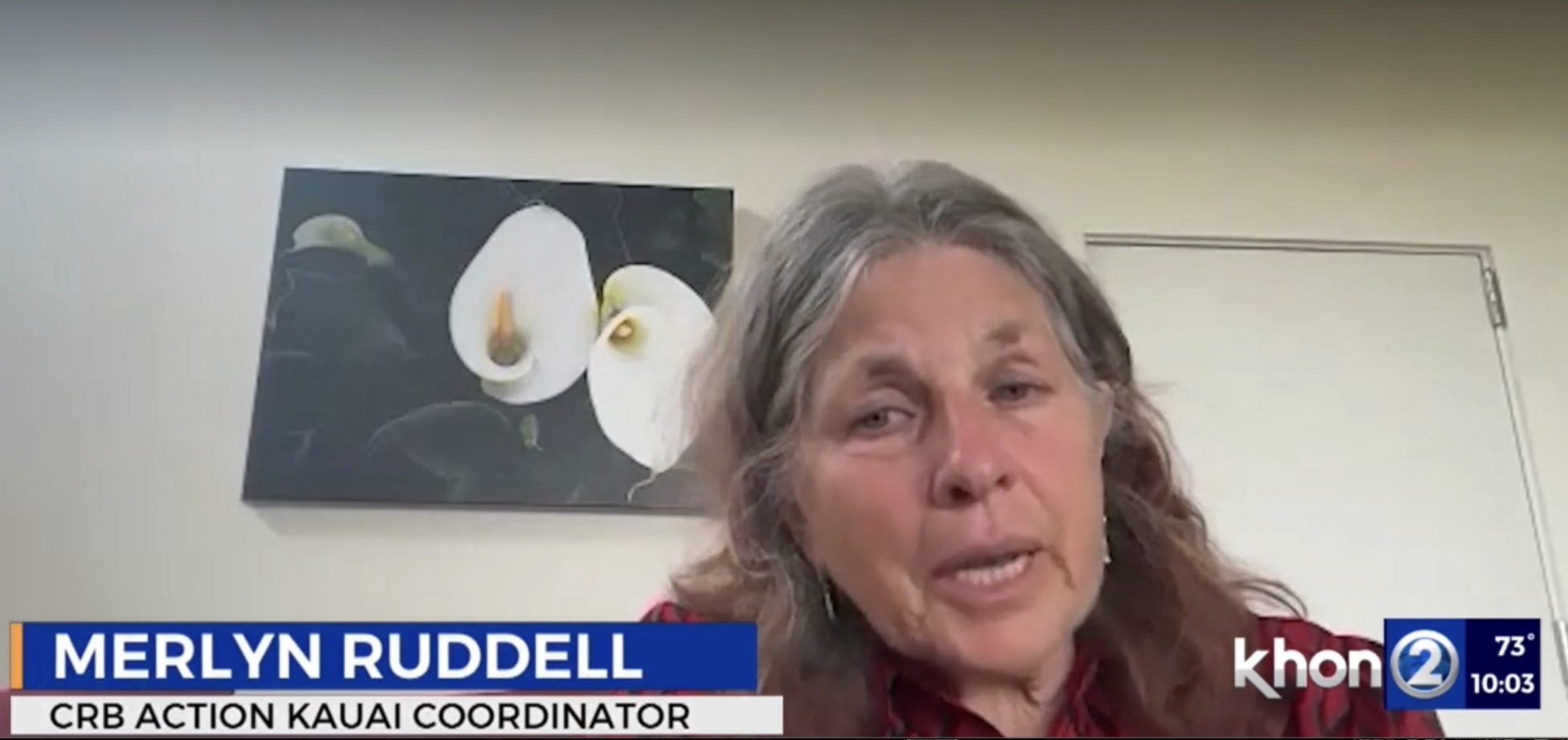 CRB Action’s Merlyn Ruddell on KHON: Virus Could Be “Big Win” 