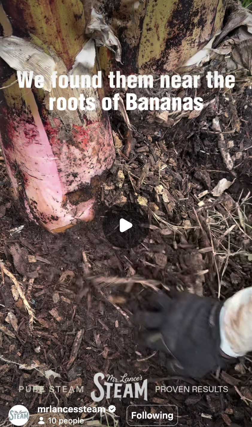 Our Food Sources Are Under Attack