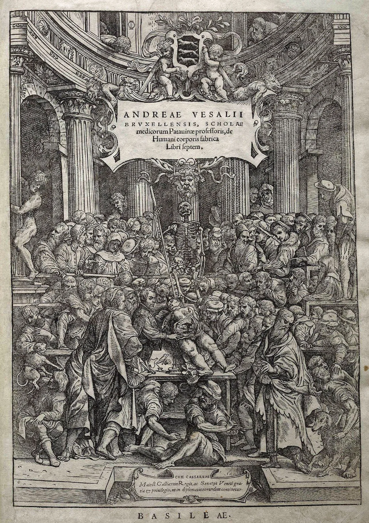 1280px-Vesalius_Fabrica_fronticepiece.jpg