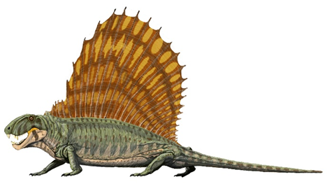 diemetredon.png