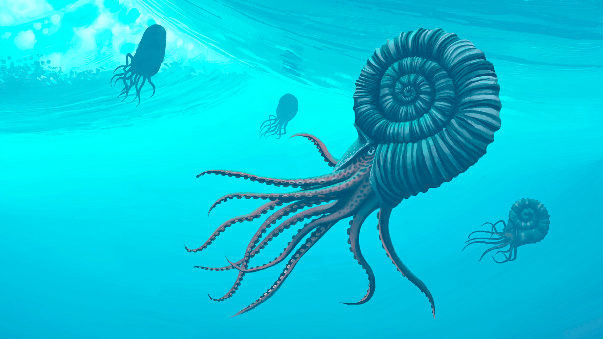image21.png
