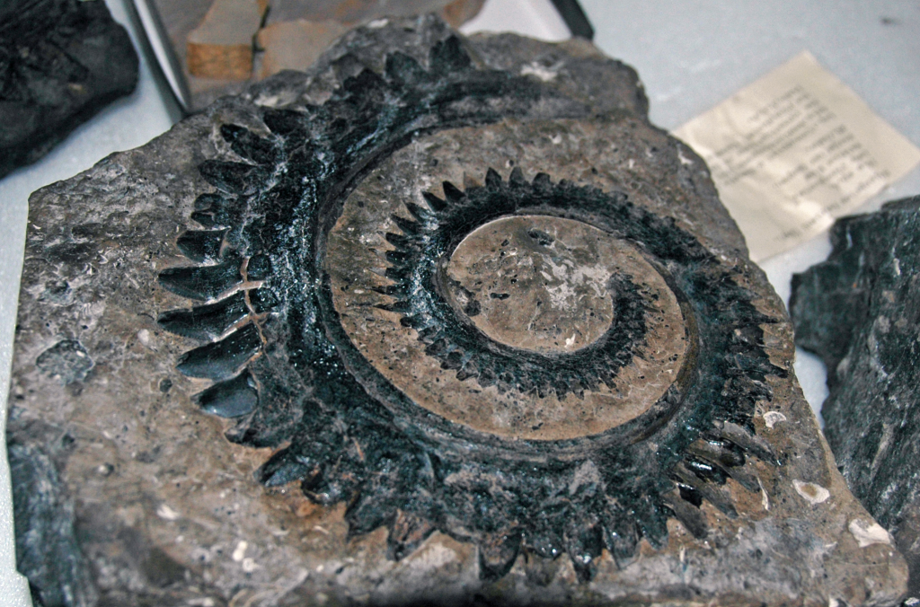 image8.png