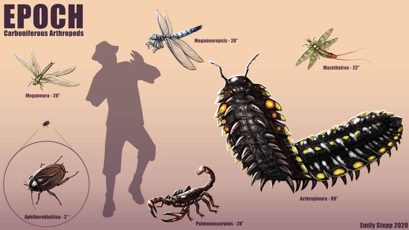 image18.png