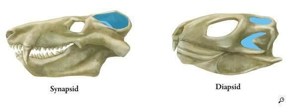 image15.png