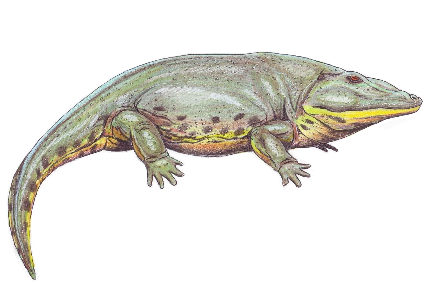 image12.png