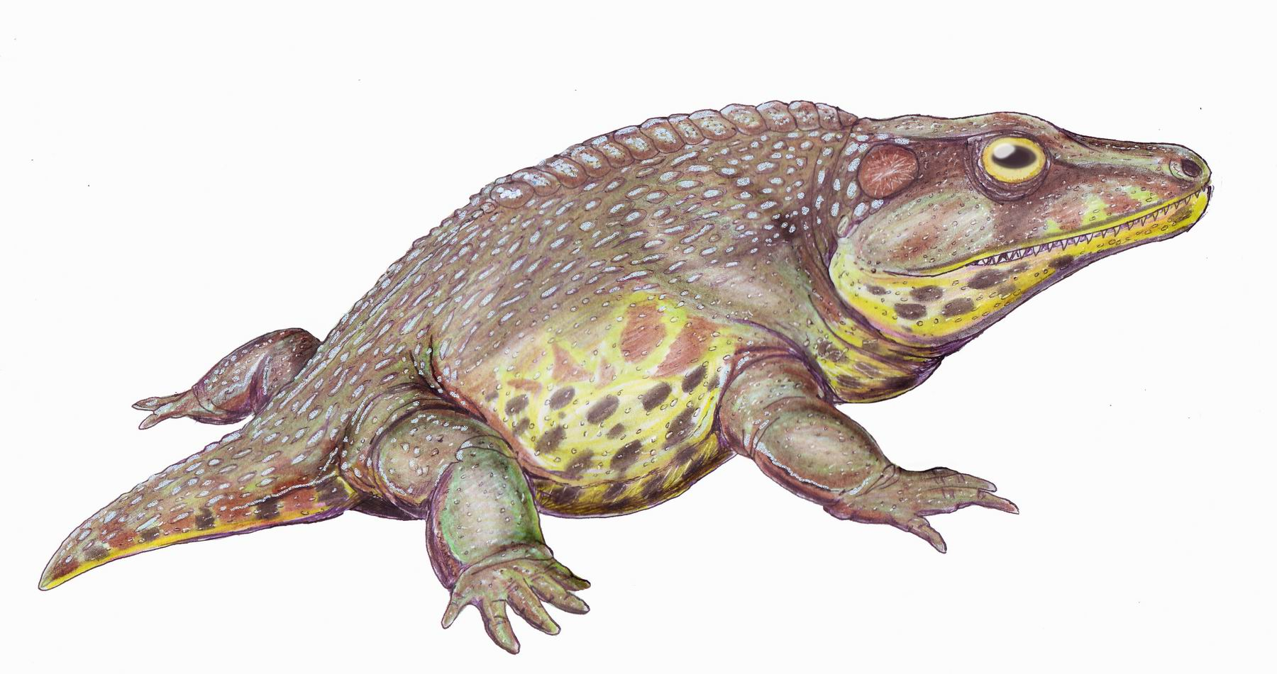 image13.png