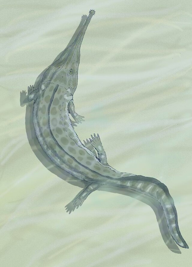 image6.png
