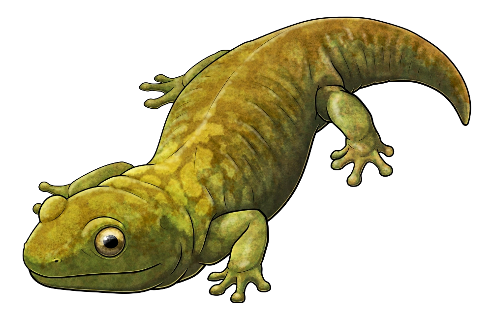 image16.png