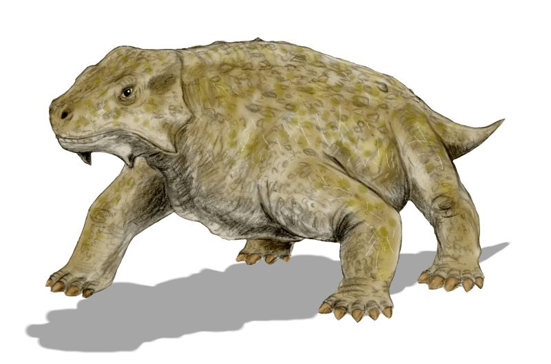 image3.png