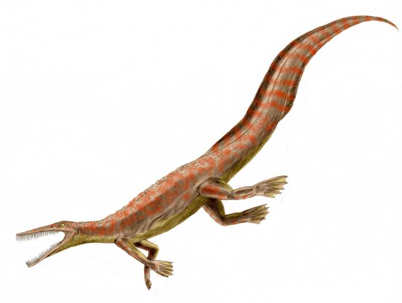 image20.png