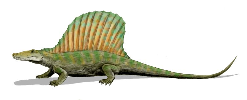 image28.png