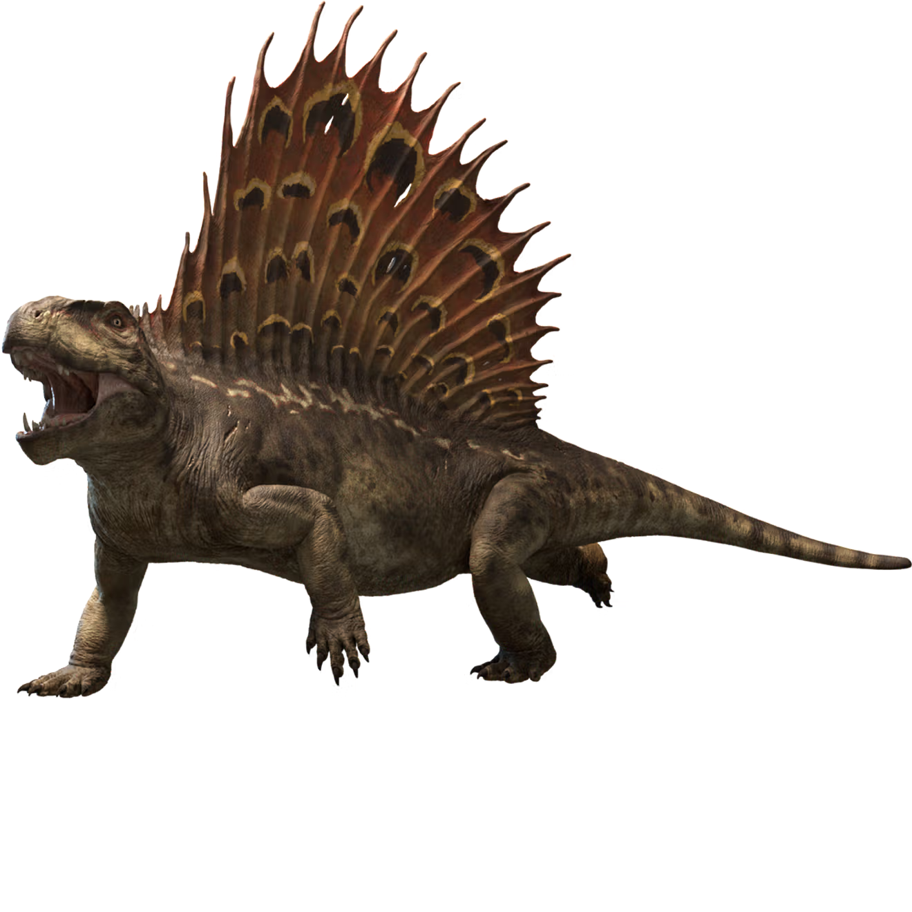 image35.png