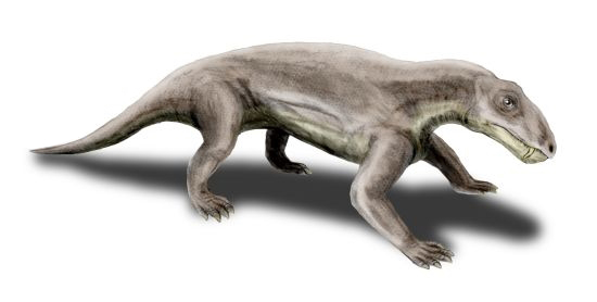 image25.png