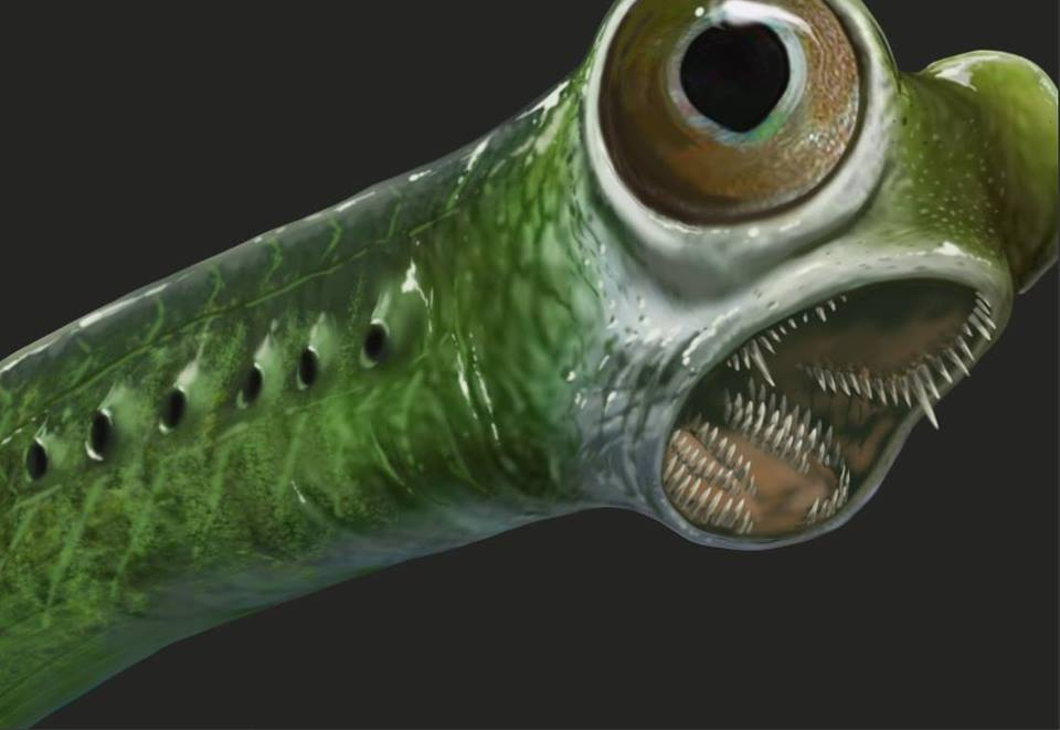 image39.png